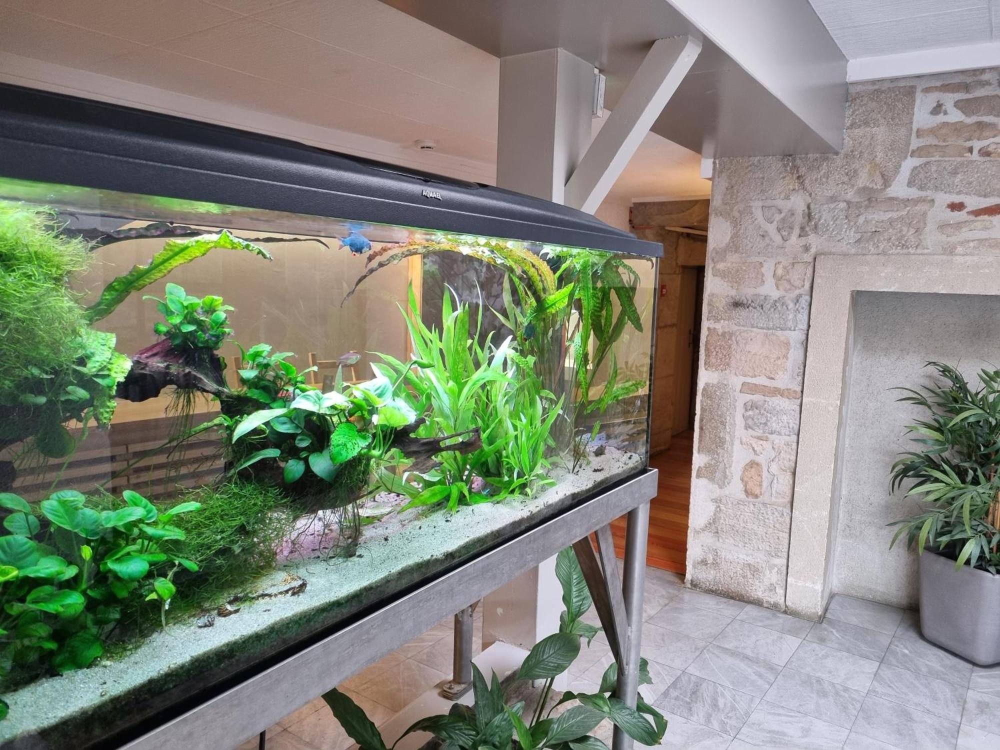 Hotel Le Bourgogne Cuiseaux ภายนอก รูปภาพ